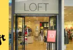store like Loft