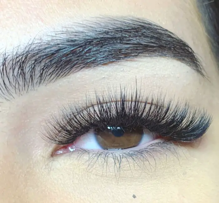 which eyelash extension style is best